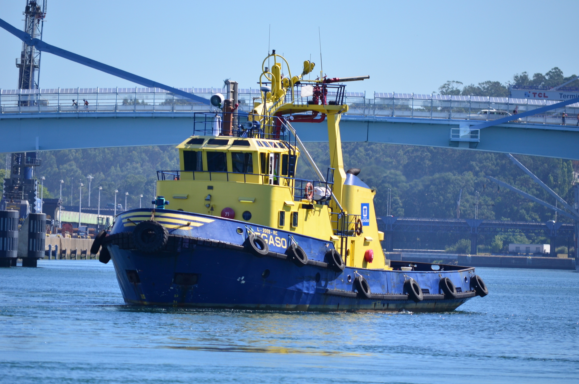 NIKON D510044092